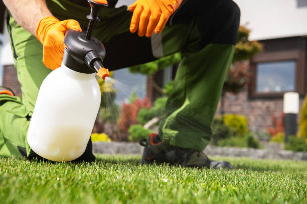 Best Termite Control Services  in Midway, KY