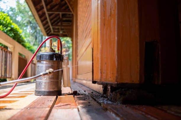 Best Affordable Pest Control Services  in Midway, KY