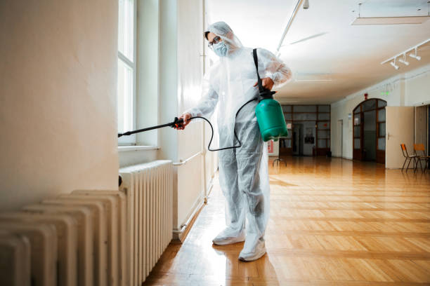 Best Flea Control Services  in Midway, KY