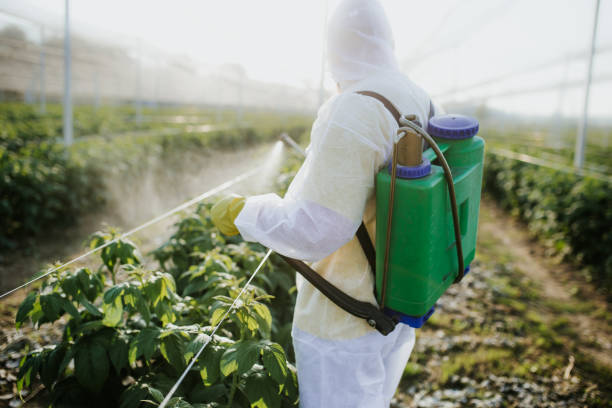 Trusted Midway, KY Pest Control Experts